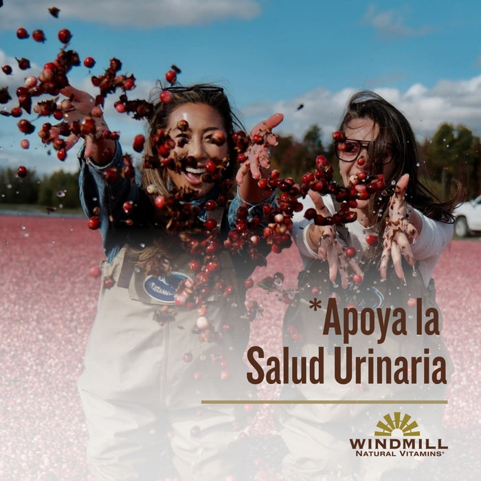 Arándano 500 mg (30 caps), Windmill