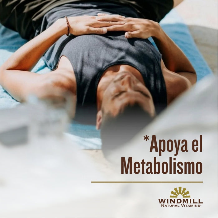 Canela 500 mg (60 caps), Windmill