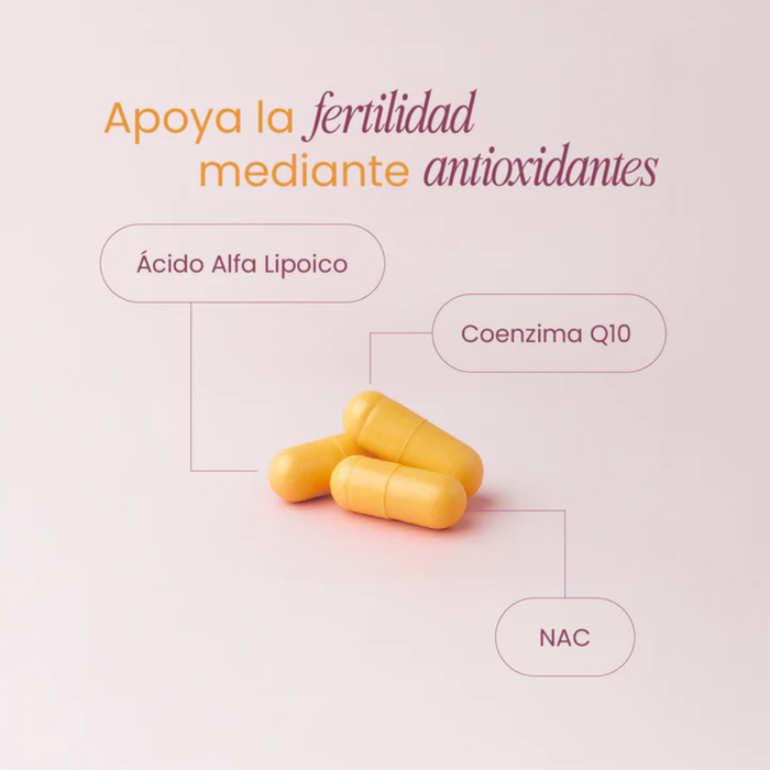 Fertility Support para la Salud Reproductiva y Fertilidad (90 cápsulas) | NutriADN
