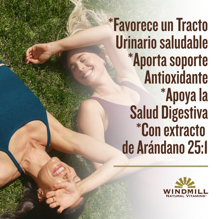 Arándano 500 mg (30 caps), Windmill