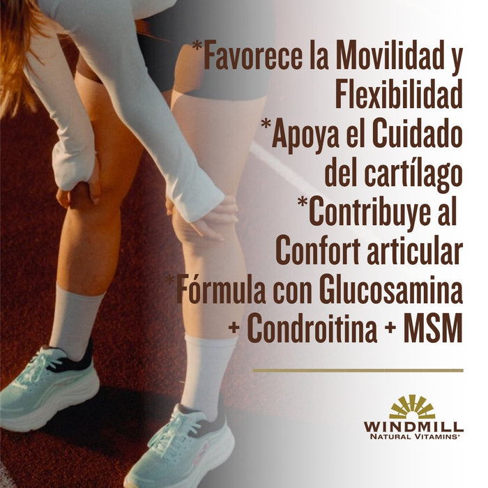 Glucosamina con Condroitina y MSM (60 tabs), Windmill