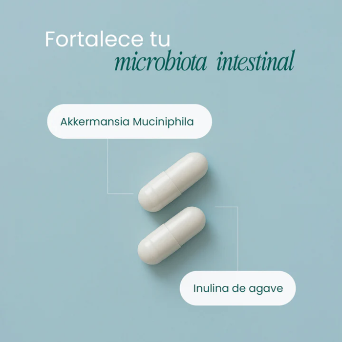 Akkermansia para la Salud de la Microbiota Intestinal (60 cápsulas) | NutriADN