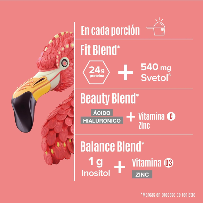 EX Fitmingo Proteina Vainilla (510 g), Birdman