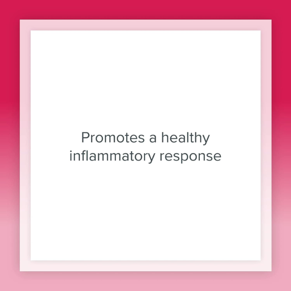 Extracto de Semilla de Uva 100 mg GrapeSeedRich® (90 veg caps), Natural Factors