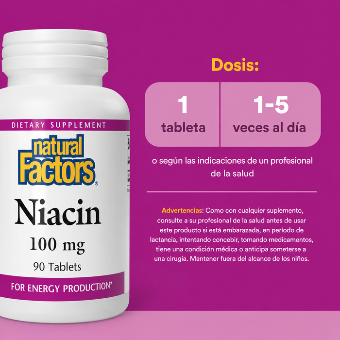 B3 Niacin 100 mg (90 tabs), Natural Factors