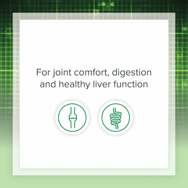 Cúrcuma y Bromelina 450 mg (90 caps), Natural Factors