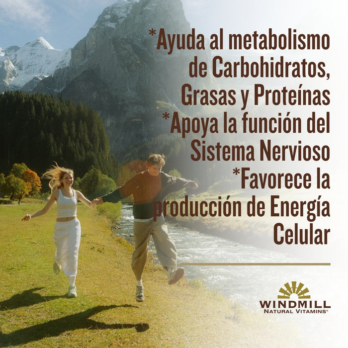 Super Complejo B-100 (60 tabs), Windmill