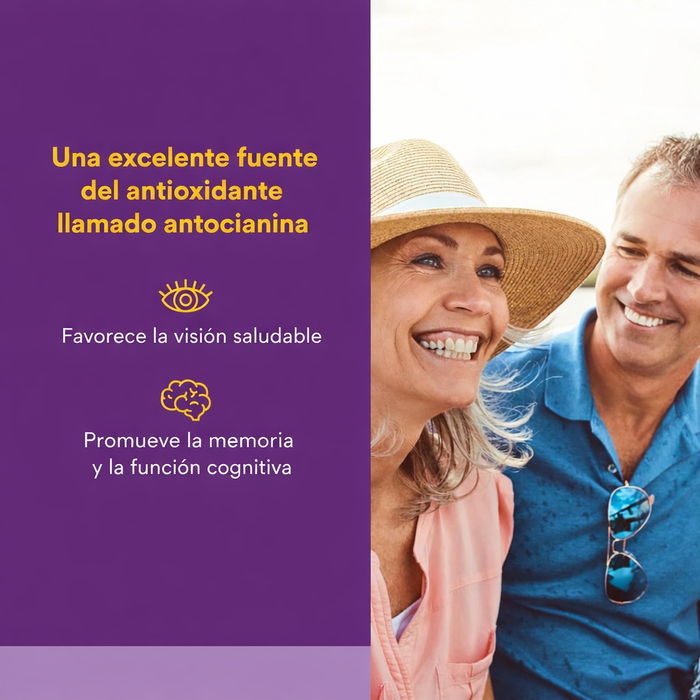 Concentrado de Arándano de Máxima Potencia 500 mg BlueRich® (90 softels), Natural Factors