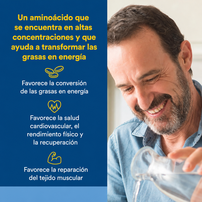 L-Glutamine Micronizado 1,000 mg (90 vcap), Natural Factors