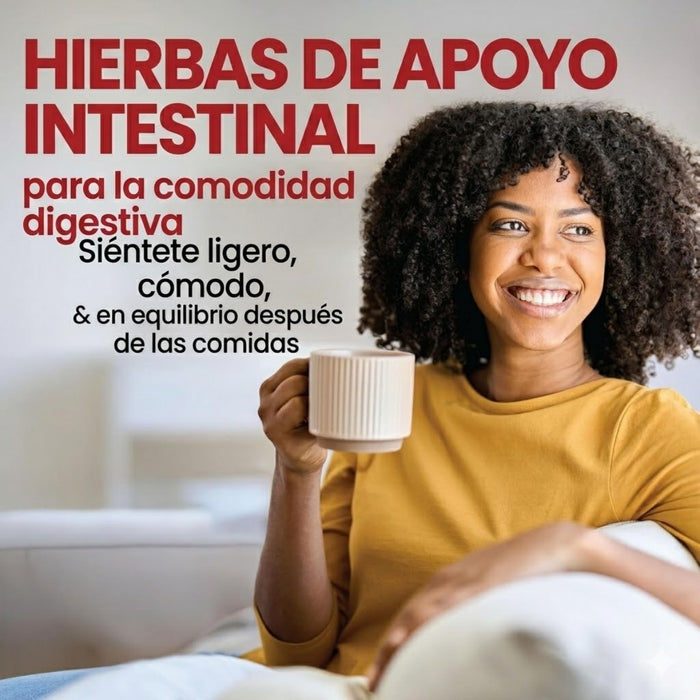 Té Adelgazante para Desintoxicaión Rapid Fire® Sabor Frambuesa (14 sobres), Windmill