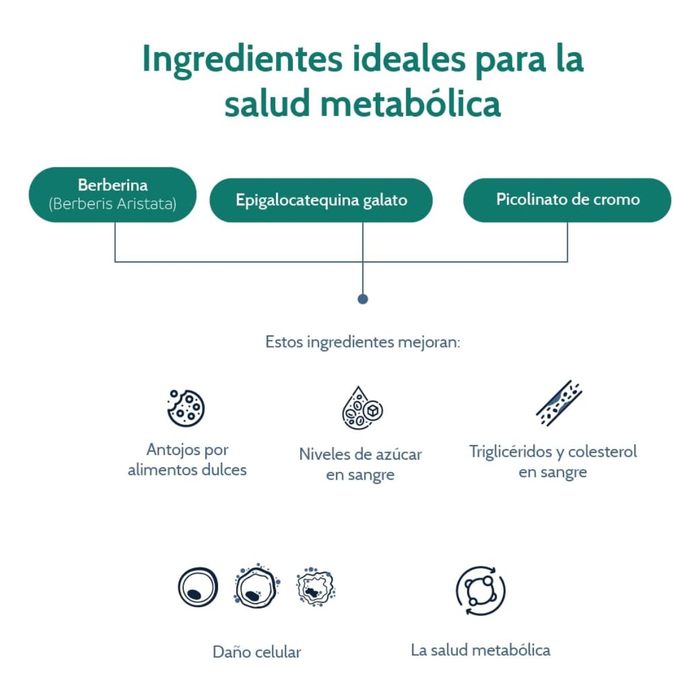 Metabolic Support para la Salud Metabólica (90 cápsulas) | NutriADN