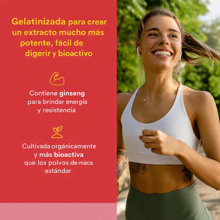 Concentrado de Maca Alta Potencia 500 mg MacaRich® (90 veg caps), Natural Factors