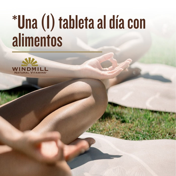 Sulfato de Hierro (100 tabs), Windmill