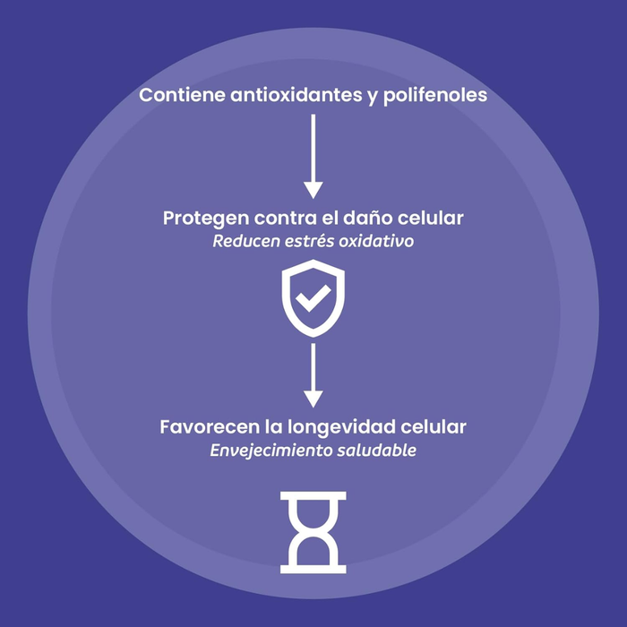 Longevity Support para la Salud Celular y Longevidad (90 cápsulas) | NutriADN