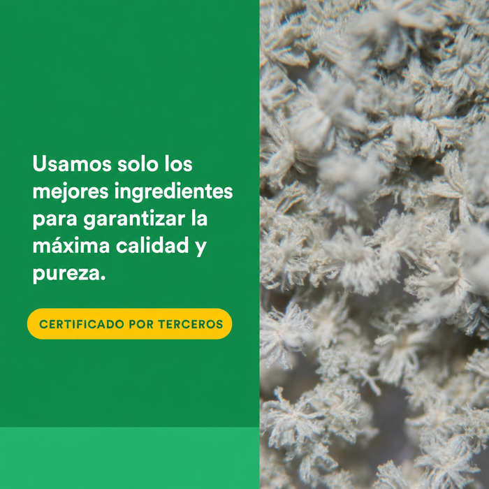 Multi Enzimas Vegetarianas de Alta Potencia (60 vcap), Natural Factors