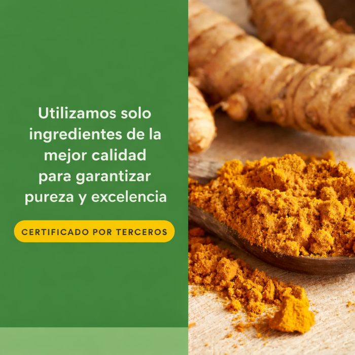 Cúrcuma y Bromelina 450 mg (90 caps), Natural Factors