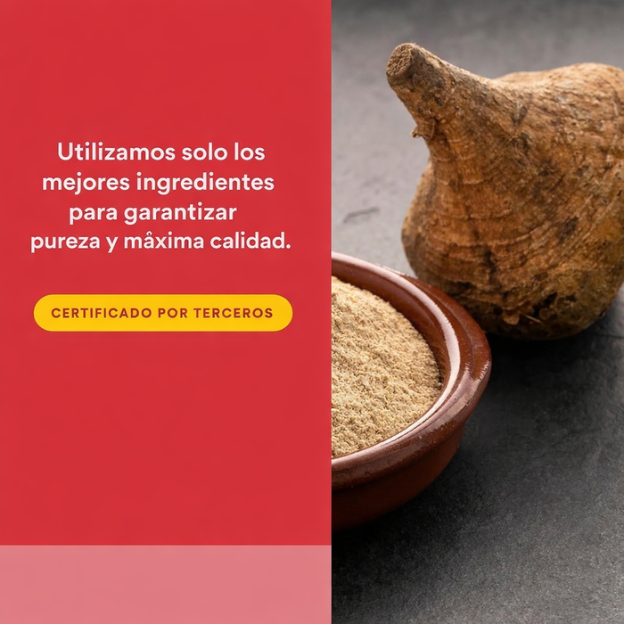 Concentrado de Maca Alta Potencia 500 mg MacaRich® (90 veg caps), Natural Factors