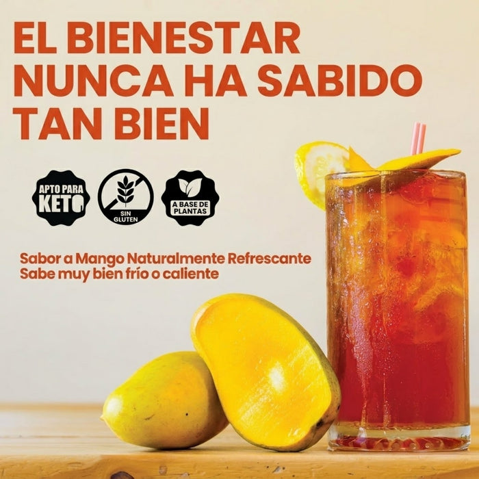 Té Adelgazante para Desintoxicaión Rapid Fire® Sabor Mango (14 pzs), Windmill