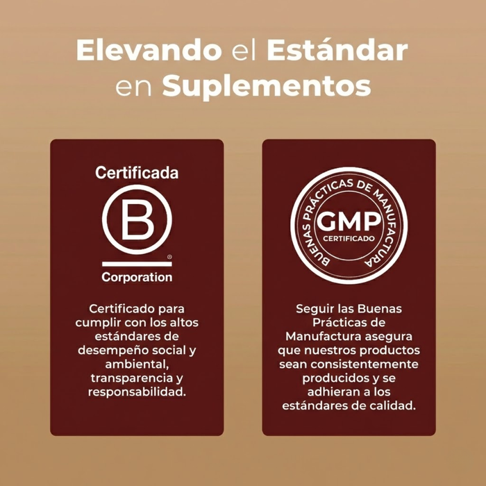 Hongos Funcionales Liposomal Sabor Chocolate (15.22 oz 450 ml), MaryRuth's