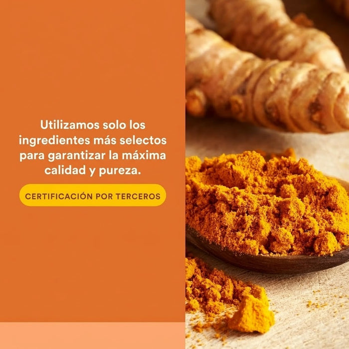 Extracto de Curcuma CurcuminRich® Theracurmin® (30 vcap), Natural Factors