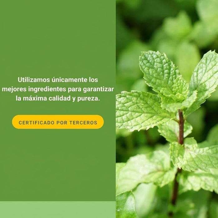 Aceite de Menta y Orégano, Digestión (60 softgels), Natural Factors