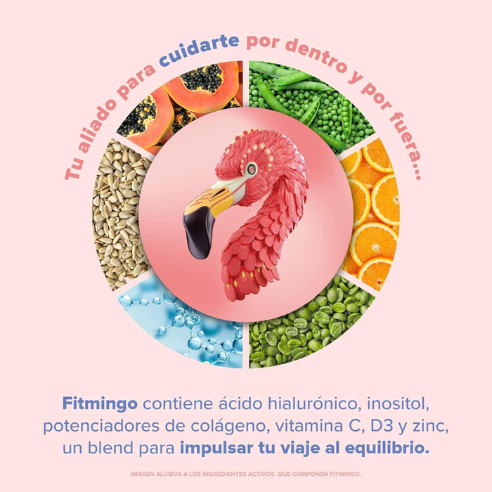 EX Fitmingo Proteina Vainilla (510 g), Birdman