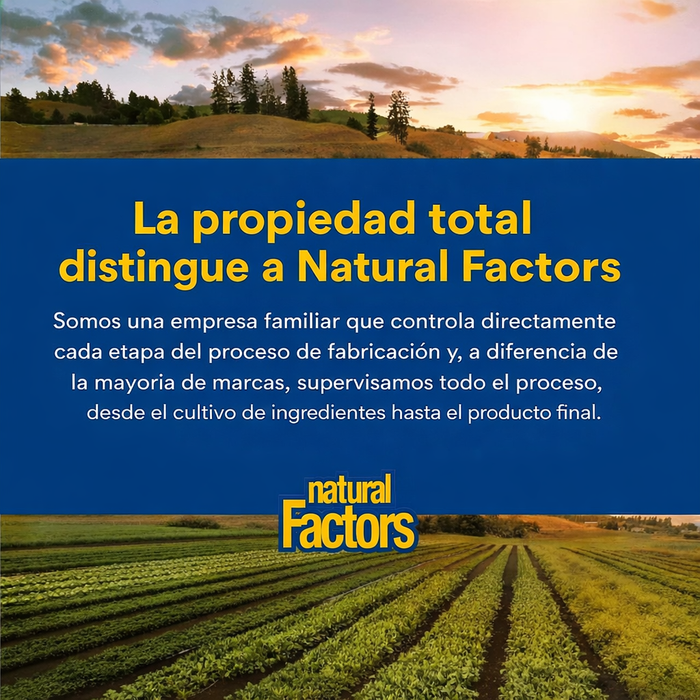 L-lisina Aminoácido 500 mg (180 veg caps), Natural Factors