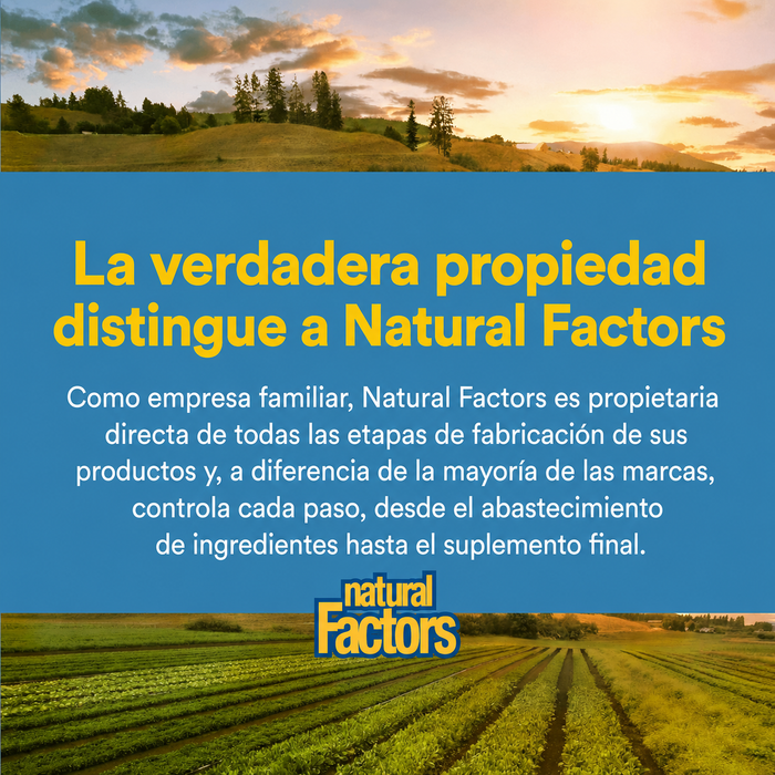 NAC N-Acetil-L-Cisteina 500 mg (90 vcap), Natural Factors