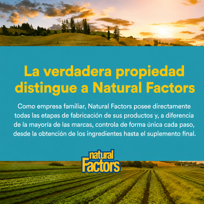 Matriz de Lipomicel de Glutation 300 mg (90 softgels), Natural Factors