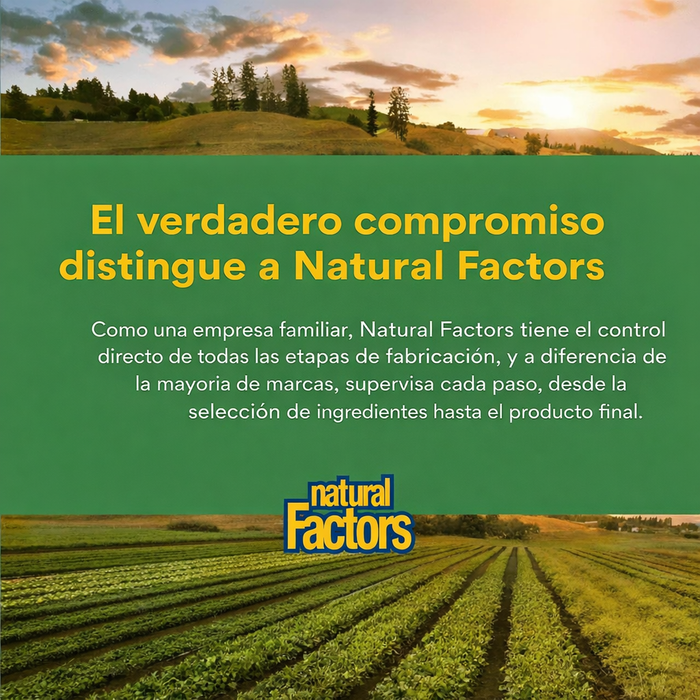 Extracto de Corteza de Pino Pycnogenol® 25 mg (60 vegcaps), Natural Factors