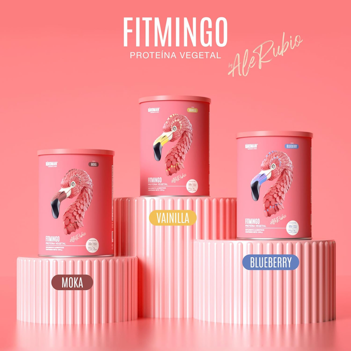 Fitmingo Protein Blueberry (510 g), Birdman