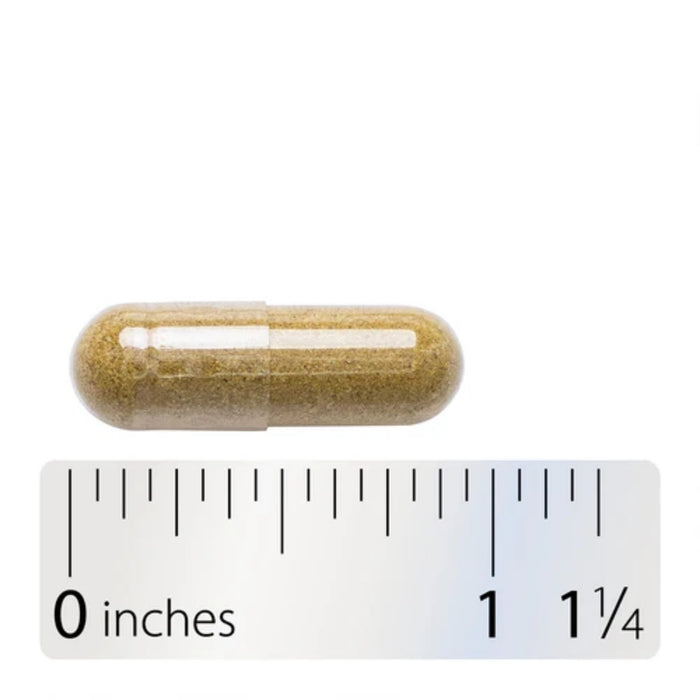 Resina de Mirra 1100 mg (100 veg caps), Nature's Way