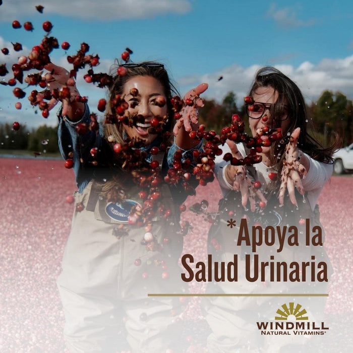 Arándano con Eufrasia y Saúco (60 caps), Windmill