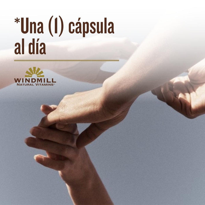 Cúrcuma 1000 mg (60 caps), Windmill